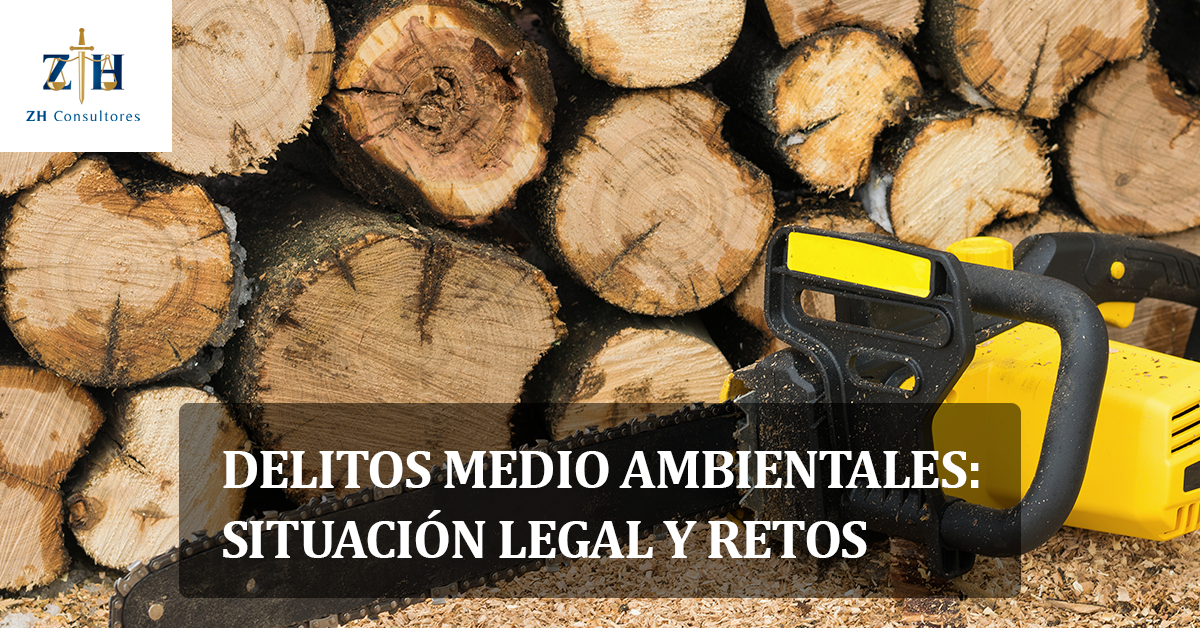 Delitos Medio Ambientales Situaci N Legal Y Retos Zh Consultores