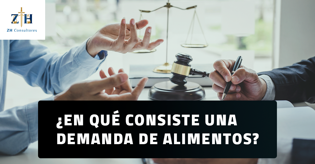 ¿En qué consiste una demanda de alimentos?