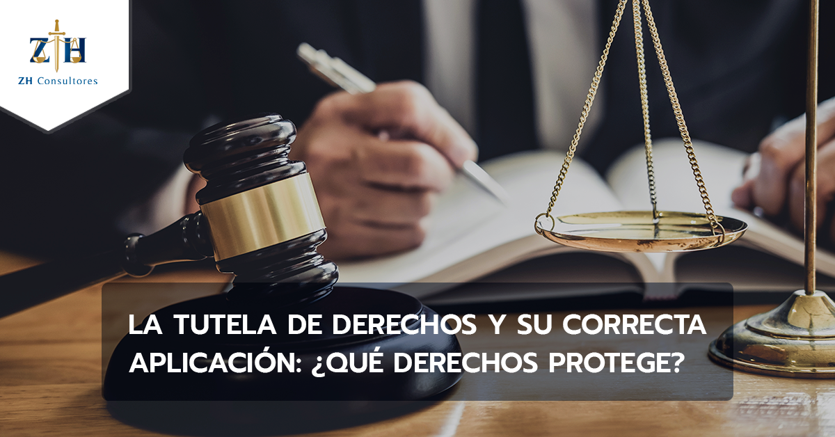 La Tutela De Derechos Y Su Correcta Aplicación ¿qué Derechos Protege Zh Consultores 6468