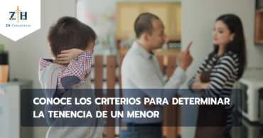 Conoce los criterios para determinar la tenencia de un menor