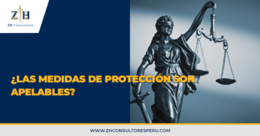 ¿Las medidas de protección son apelables?