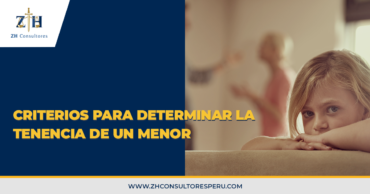 Criterios para determinar la tenencia de un menor