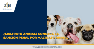 ¿Maltrato animal? Conozca la sanción penal por maltrato animal (art. 206-A del Código Penal modificado por la Ley N°30407