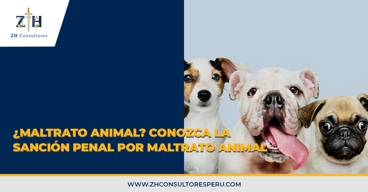 ¿Maltrato Animal? Conozca La Sanción Penal Por Maltrato Animal (art ...