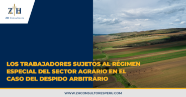 Los trabajadores sujetos al régimen especial del Sector Agrario en el caso del despido arbitrario tendrán derecho a la reposición