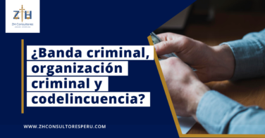 ¿Banda criminal, organización criminal y codelincuencia?